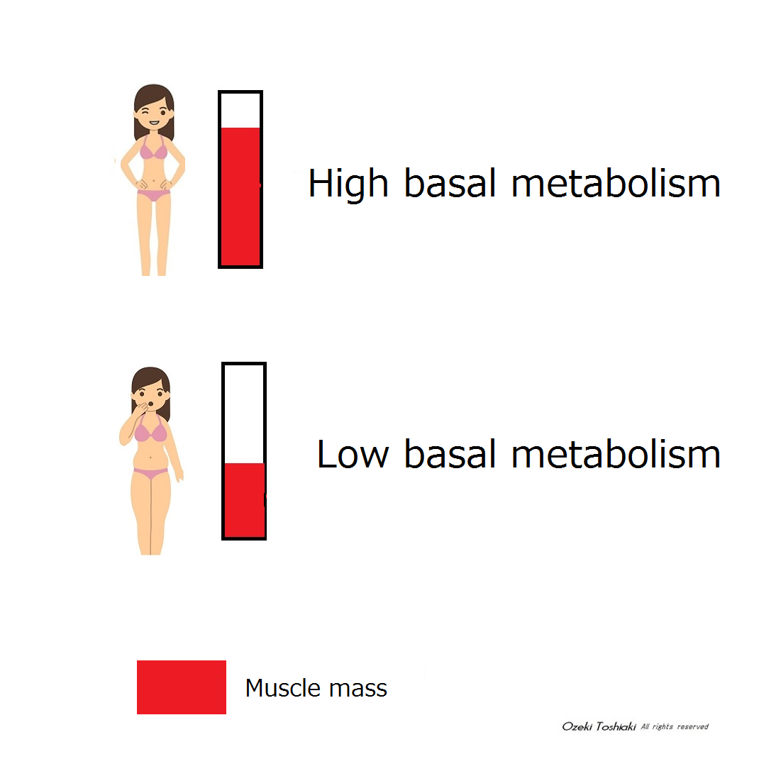 basal metabolism high-low weight loss personal trainer ShapesGirl