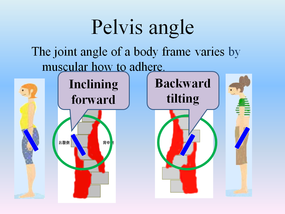 Inclining forward or Backward tilting Pelvis angle shisetore