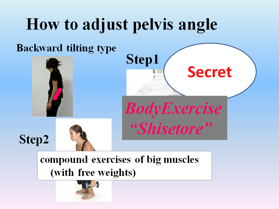 How to adjust pelvis angle shisetore