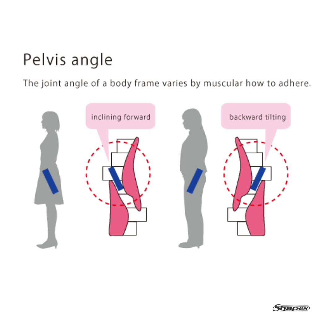 pelvis angle shisetore training