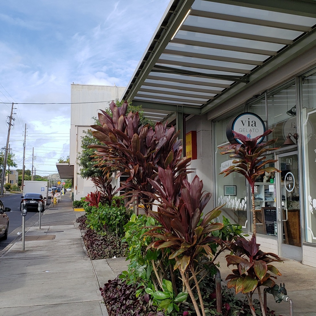 12th ave waialae hawaii kai Personal Training Gym Personal trainer gym