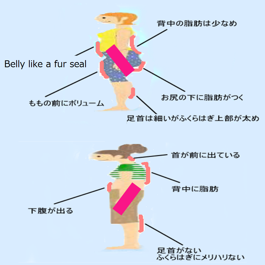 Shisetore weight loss shapesgirl