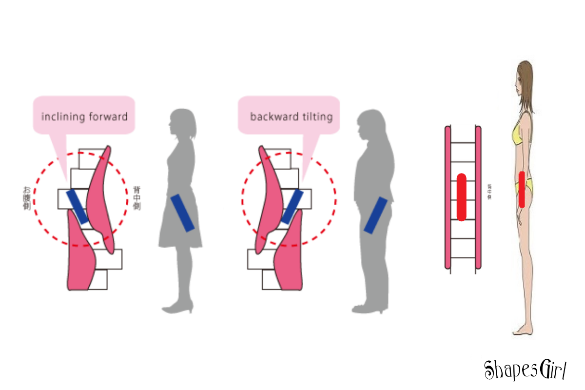 シセトレ　ボディメイクおぜきとしあき 女性専用パーソナルトレーニングジム ボディメイク＆ダイエットの女性パーソナルトレーナー シェイプスガール ShapesGirl