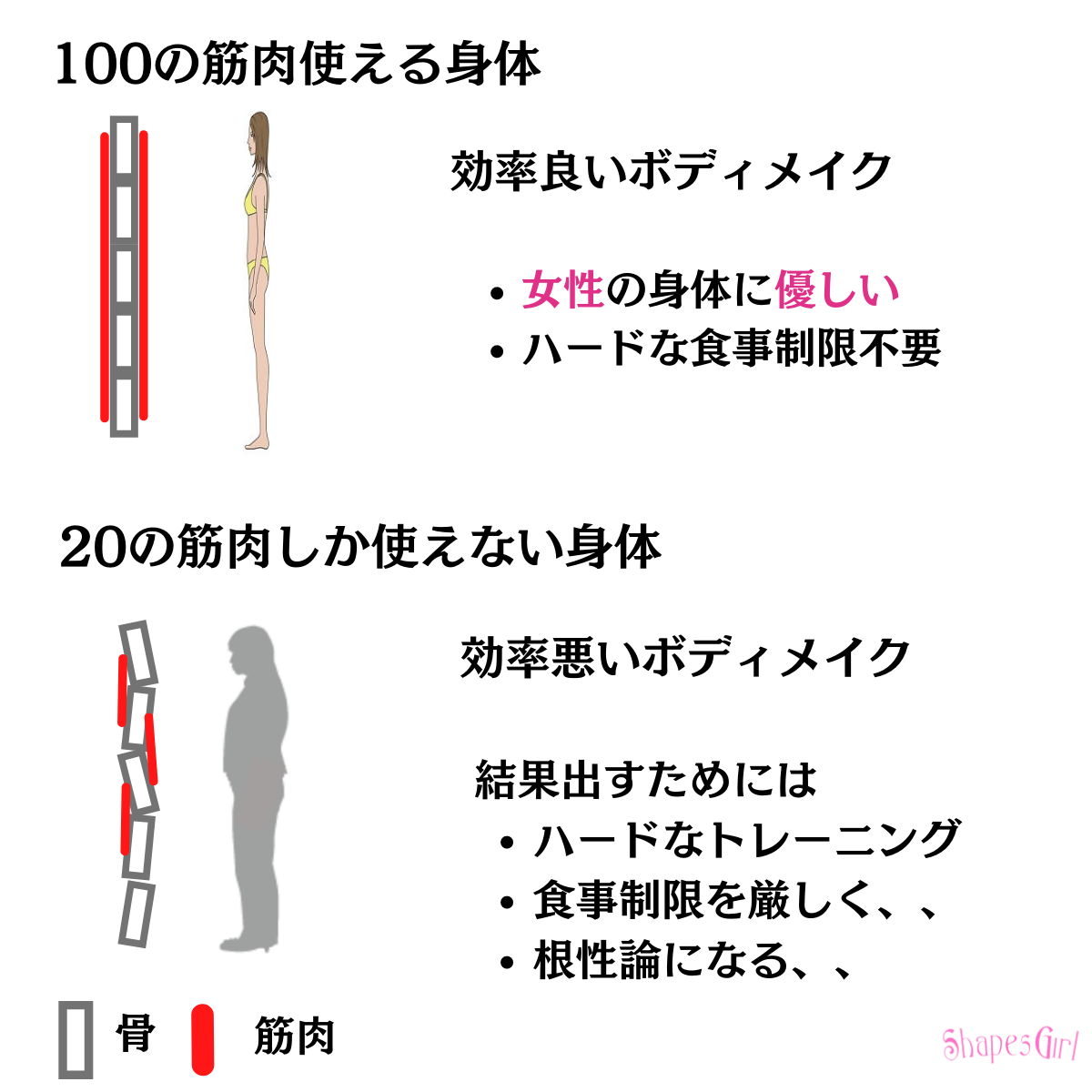 効率良いボディメイクと効率悪いボディメイク　女性専用パーソナルトレーニングジム ボディメイク＆ダイエットの女性パーソナルトレーナー シェイプスガール ShapesGirl