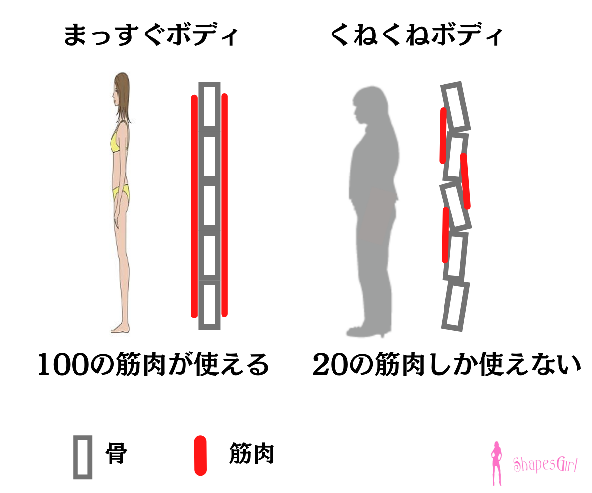 女性のボディメイクは、筋肉100が使えていないとボディメイク結果出ない