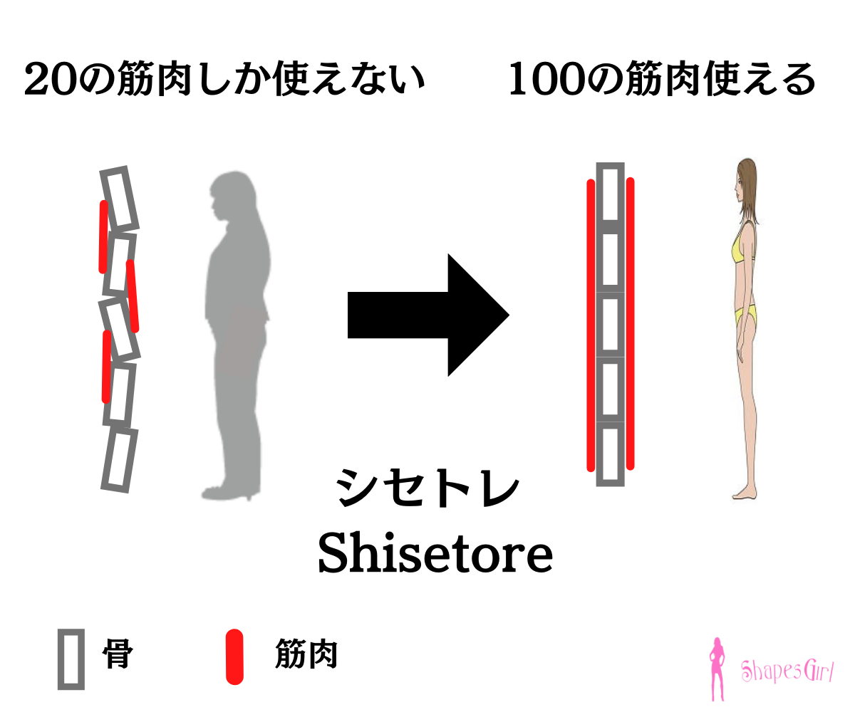 シセトレでボディメイクを効果的に 女性専用パーソナルトレーニングジム ボディメイク＆ダイエットの女性パーソナルトレーナー シェイプスガール ShapesGirl