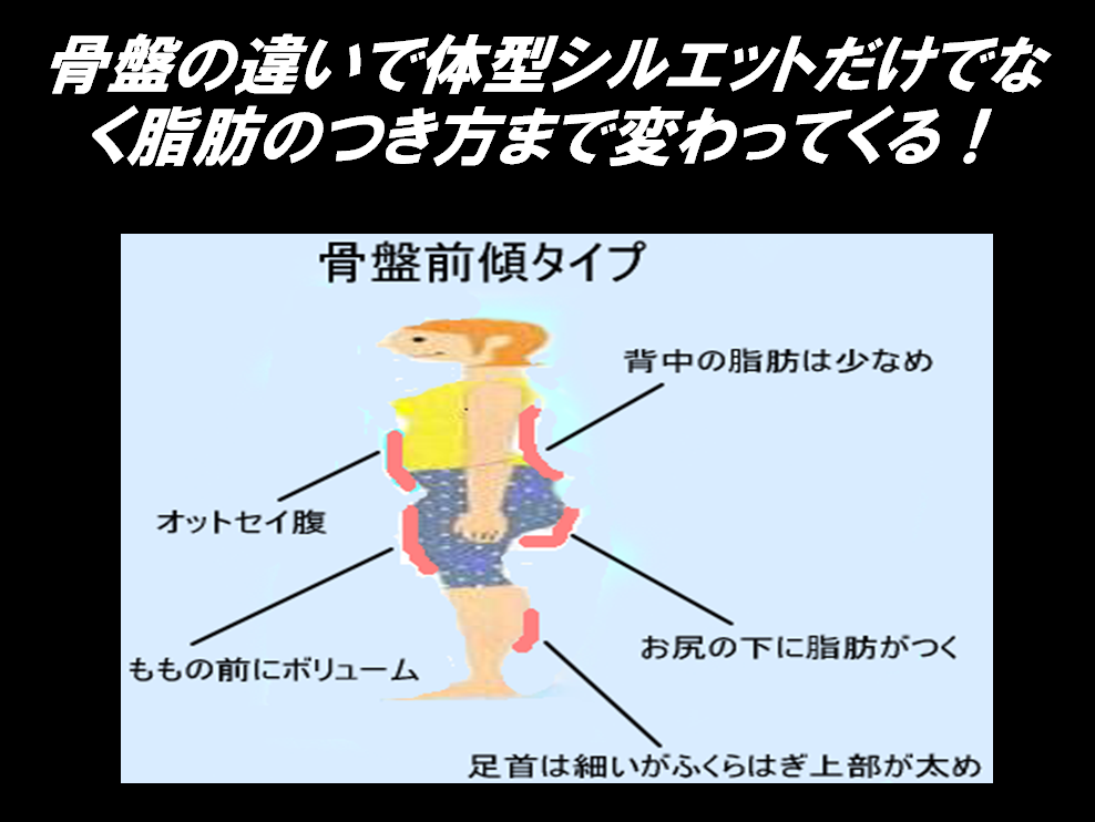 骨盤前傾｜シセトレ　姿勢トレ　ダイエット　シェイプスShapes