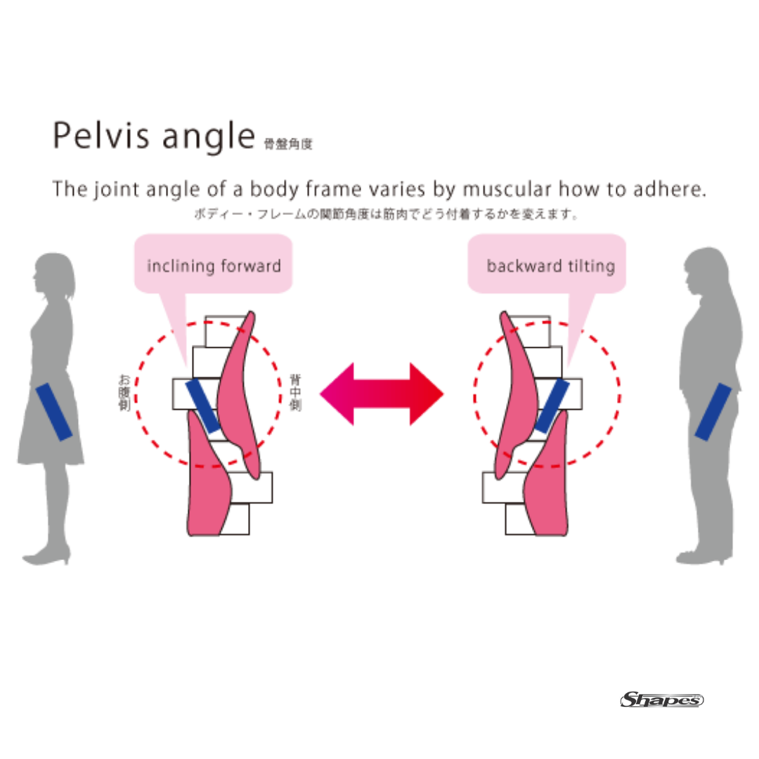 骨盤が前に傾いている前傾タイプ”と後ろに傾いている後傾タイプ｜シェイプス　Shapes ボディメイクジム